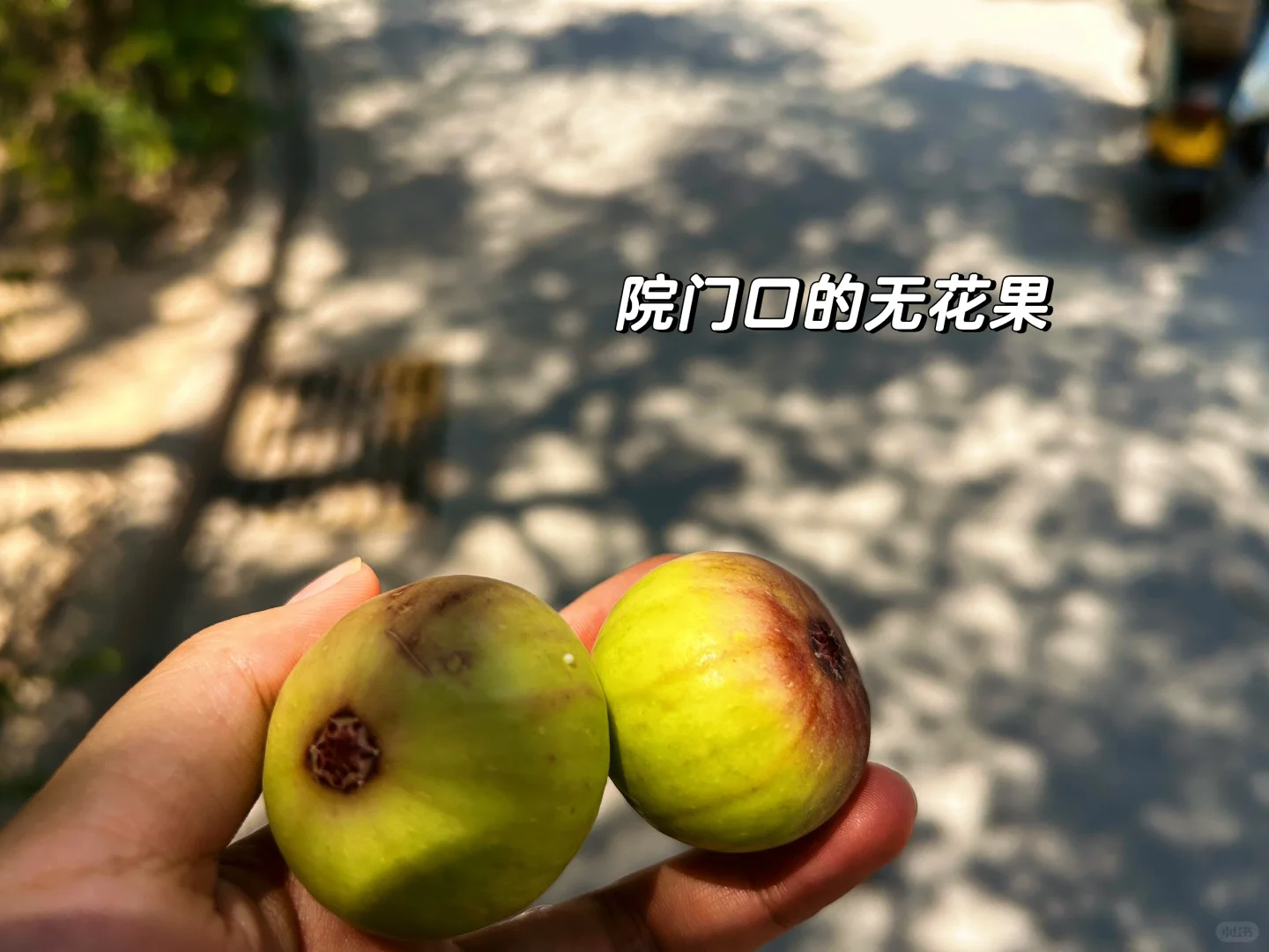 月薪3K|Day25|鸡腿饭?无限吃