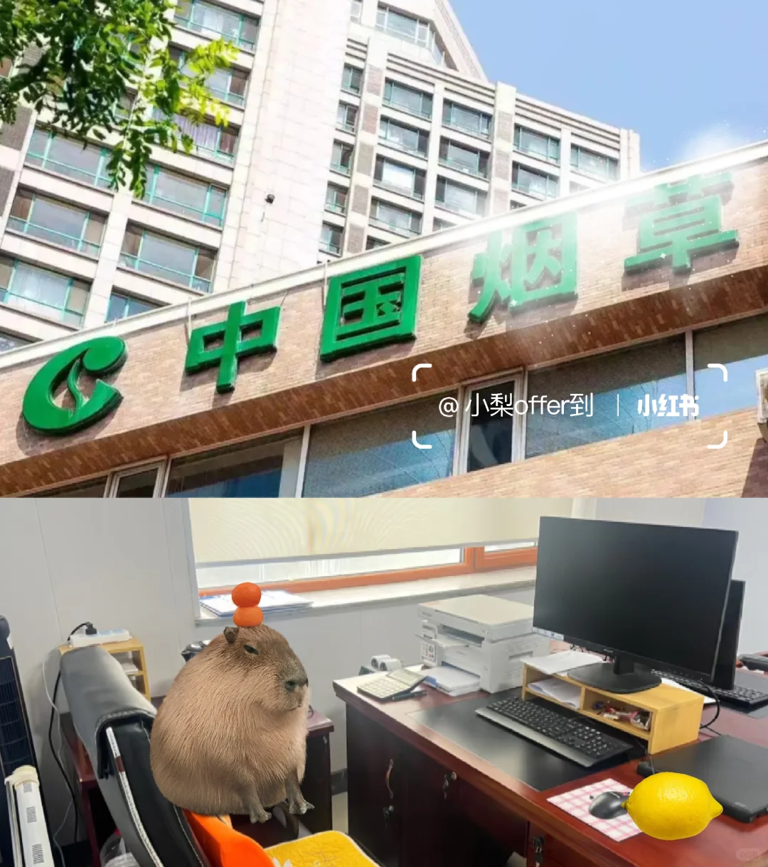 武汉某国企招聘文职,有人想了解吗?双休