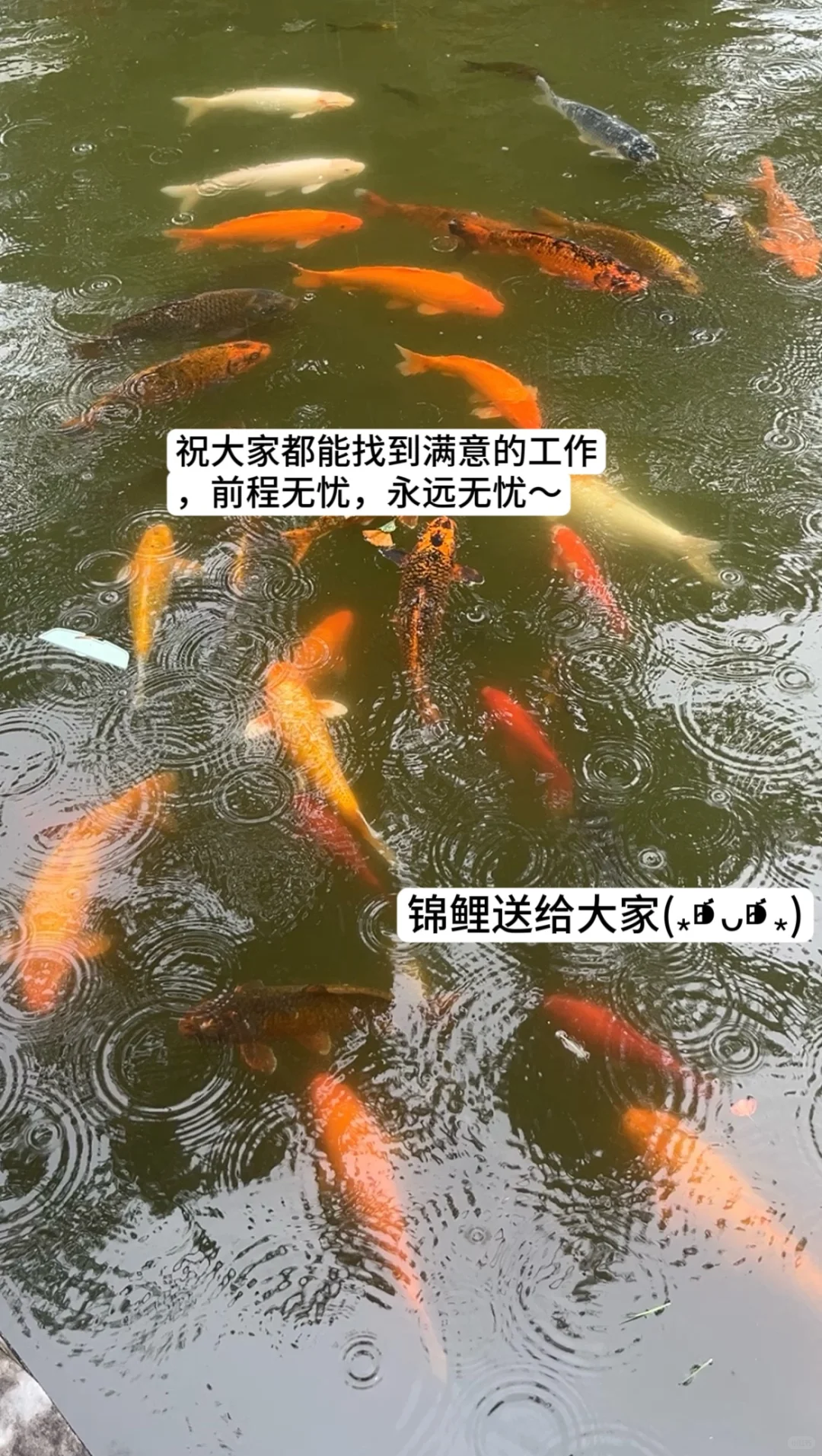 国企招聘信息哪里找？表弟靠他拿offer了