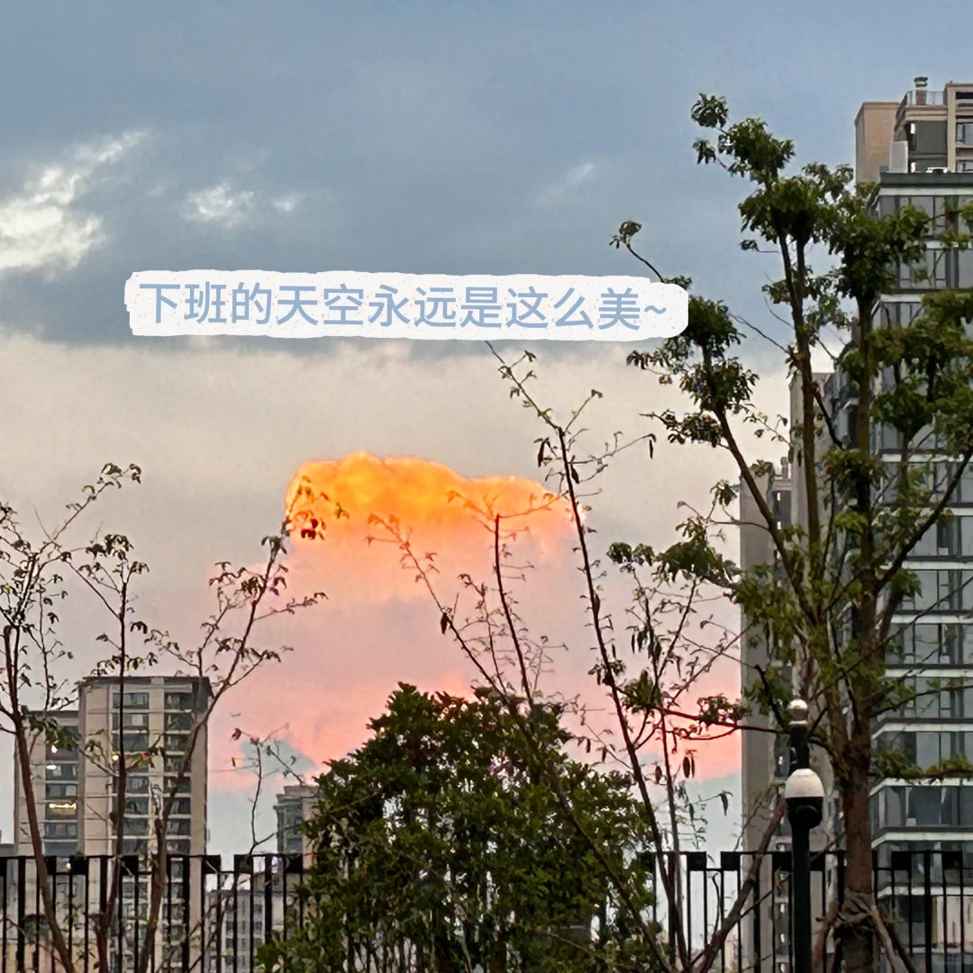 01年 | 月薪5K✨ 下班后的治愈小世界