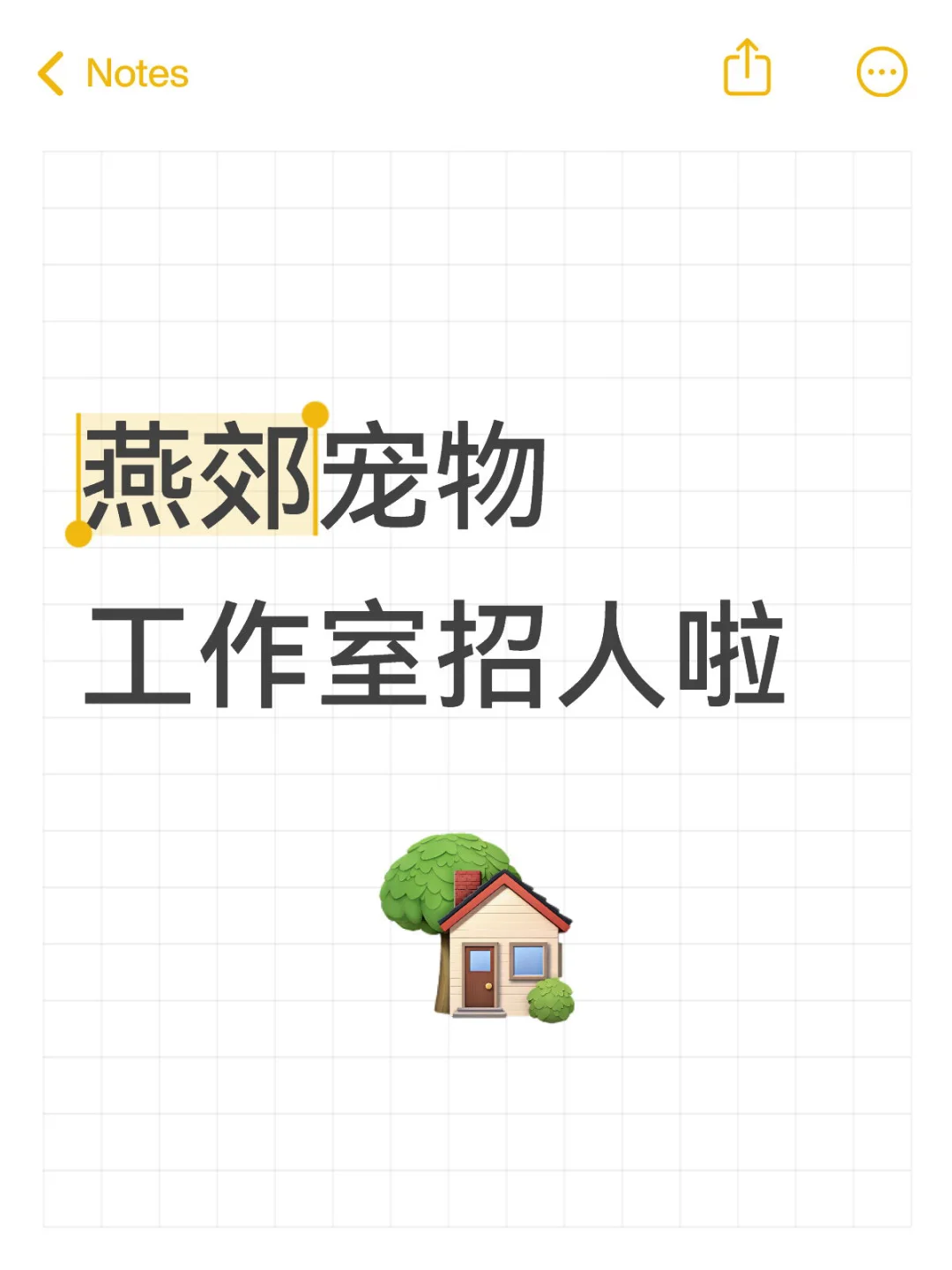 招主播!招助播!招场控!