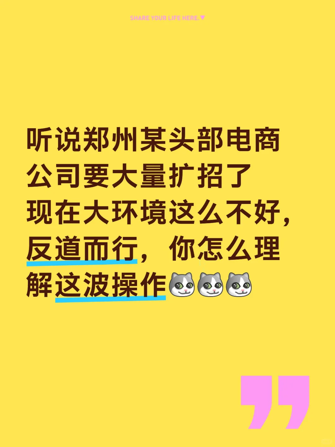 听说郑州某头部电商公司要大量扩招了