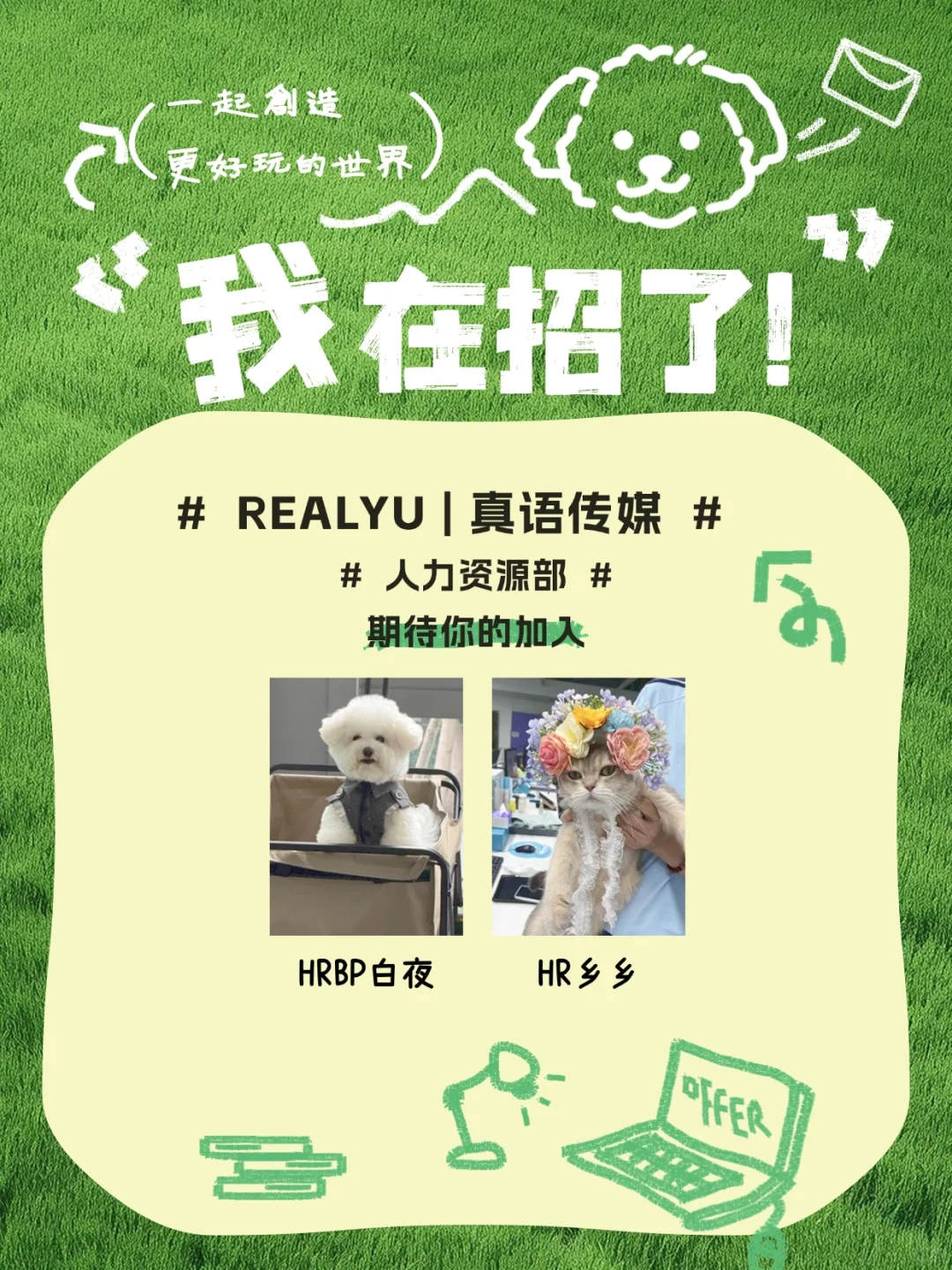 杭州余杭双休｜宠物友好公司急招新媒体编导