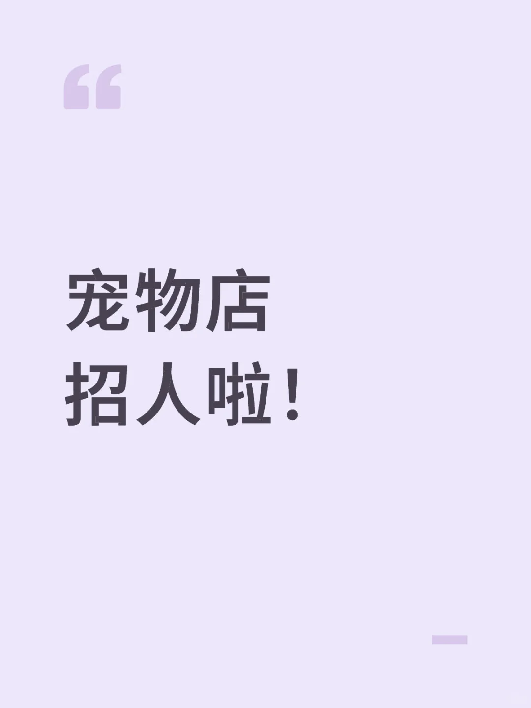 招宠物店店员