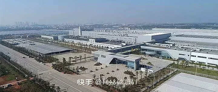 大众公司直招