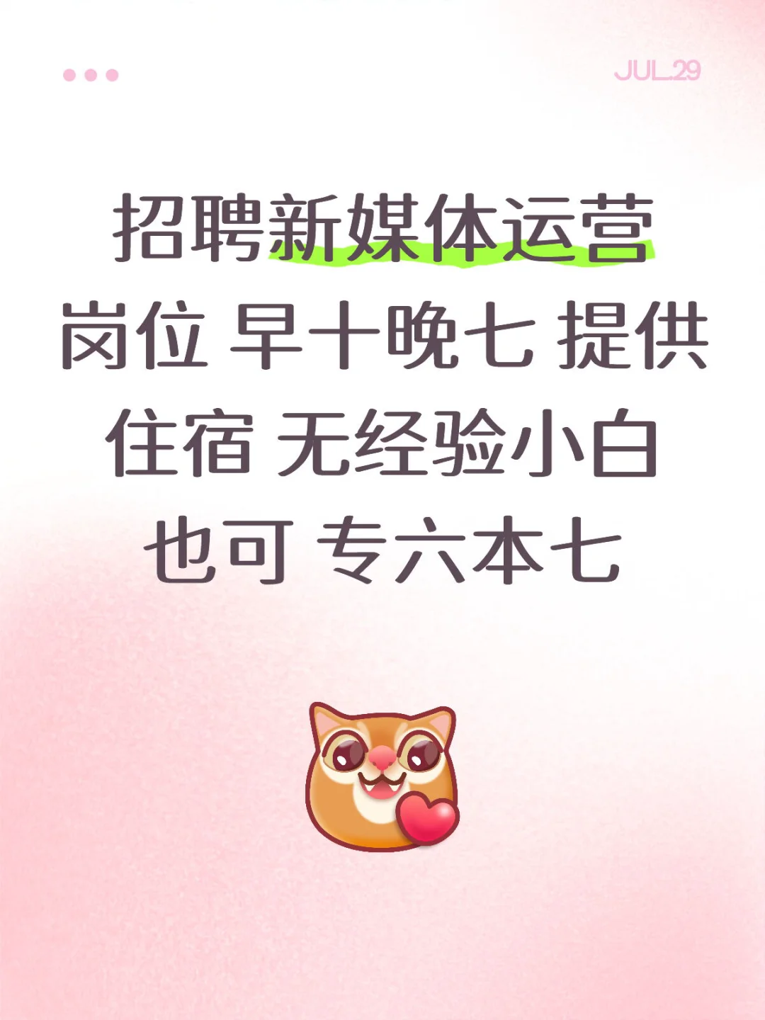 招短视频直播运营啦！小白也能来，待遇拉满