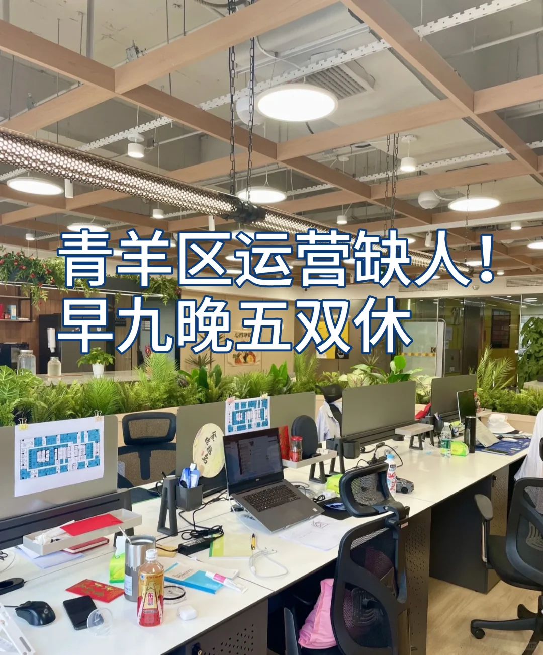 不加班，周末双休，行政班