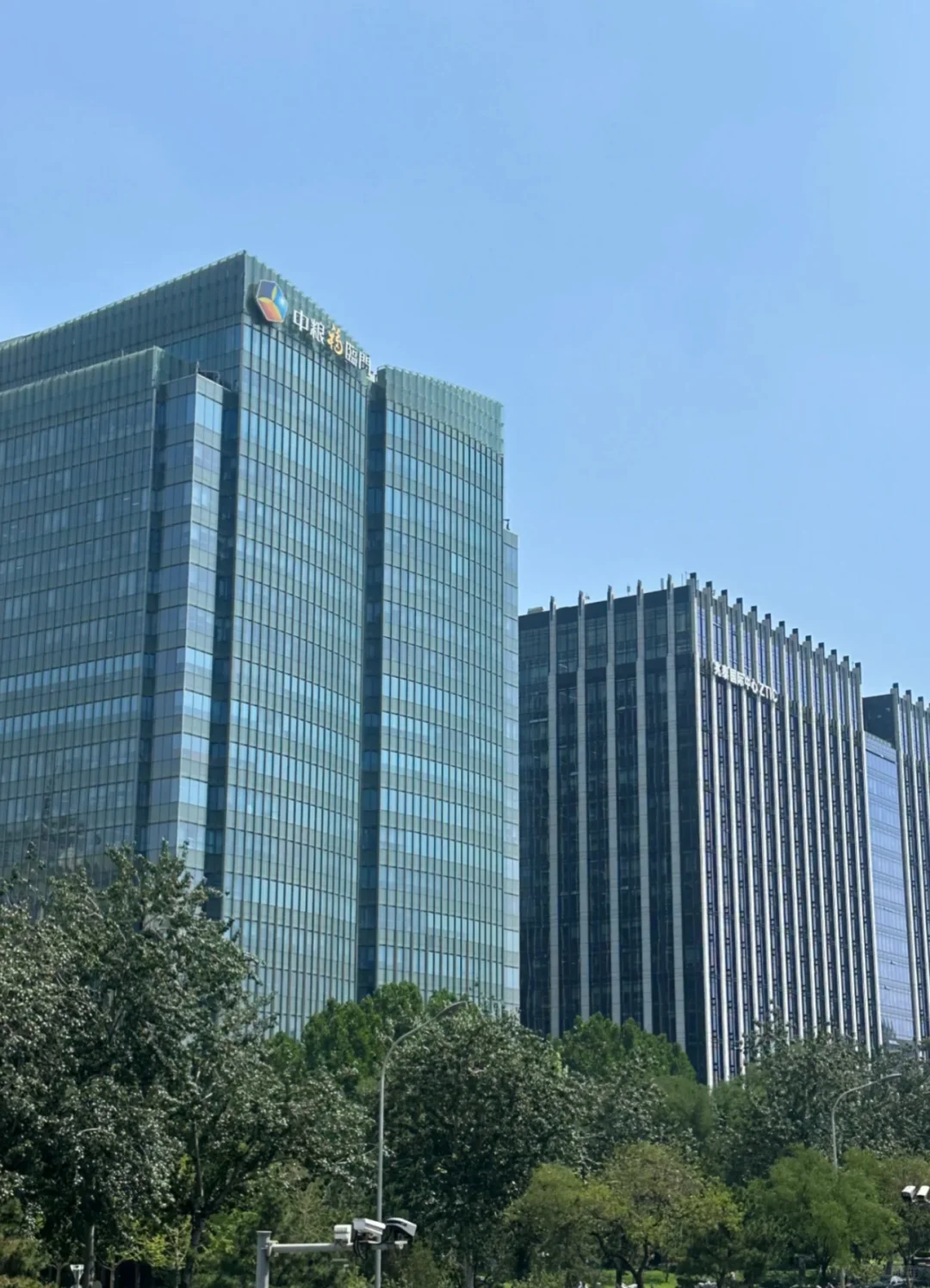 中国储备粮管理集团招聘
