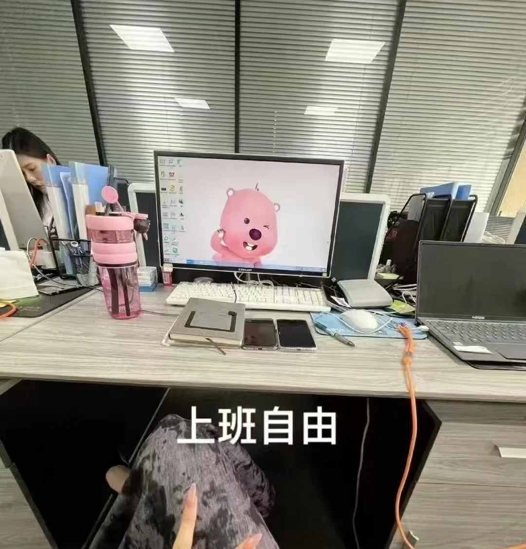 招聘行政部文员——月收入过万坐着玩手机