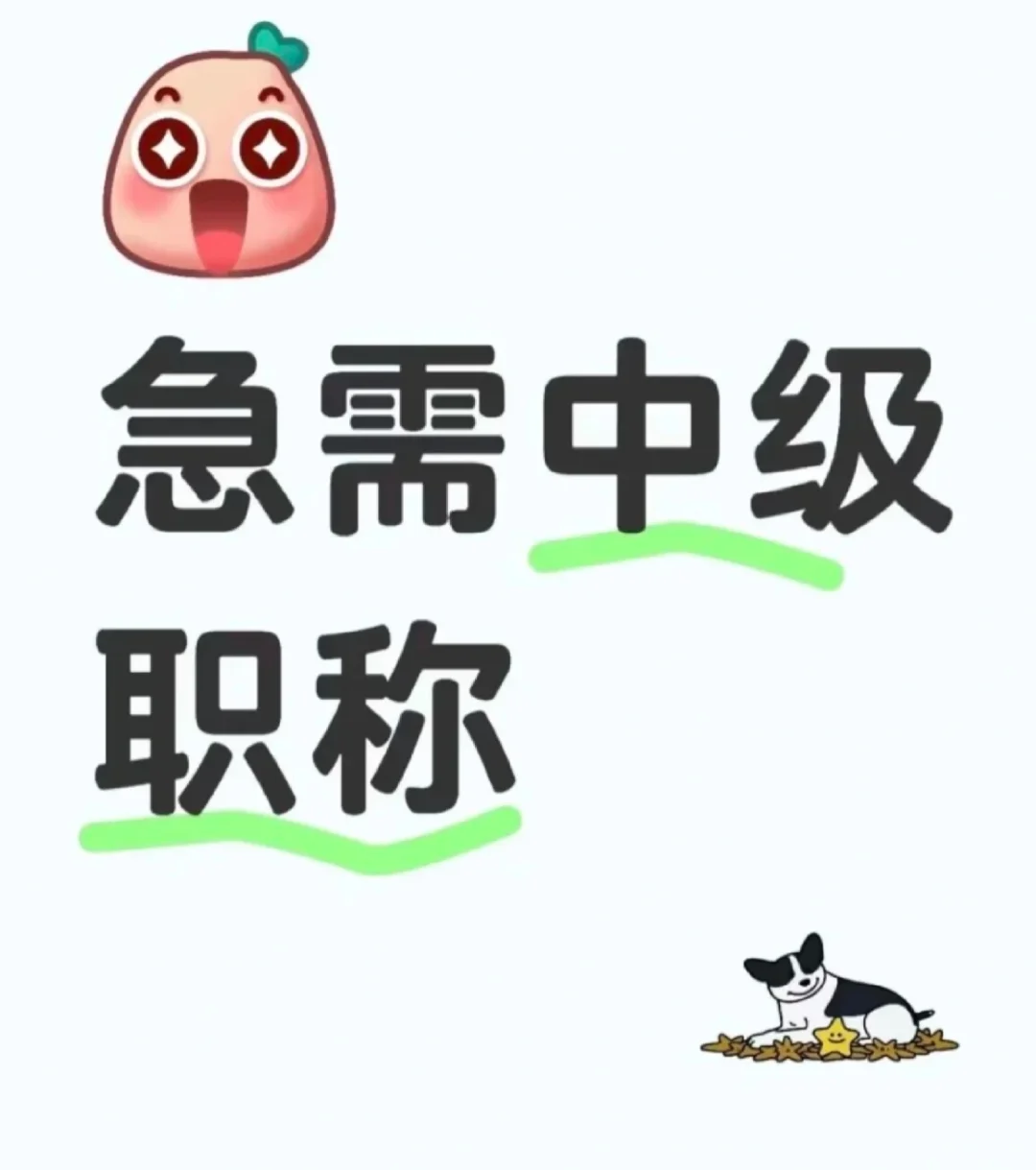 急需中高人才 现有单位