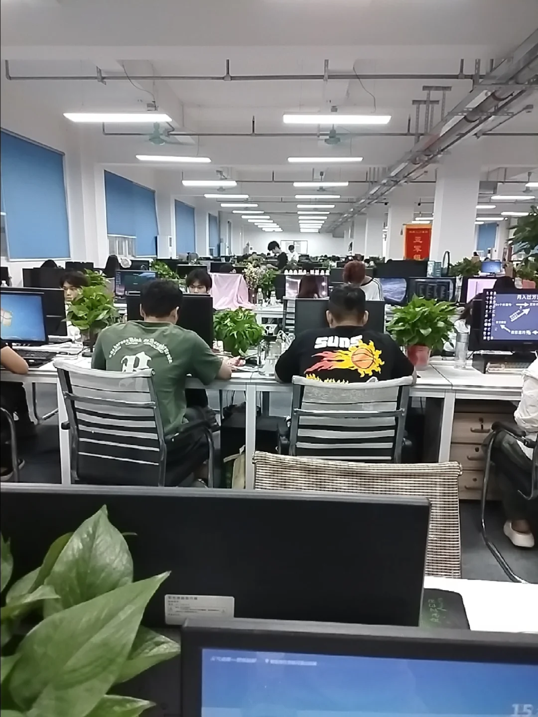 我们公司现在大量招聘人员