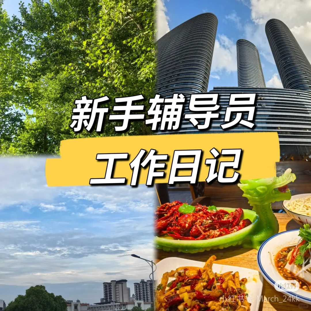 培训学不到的新手辅导员工作建议!
