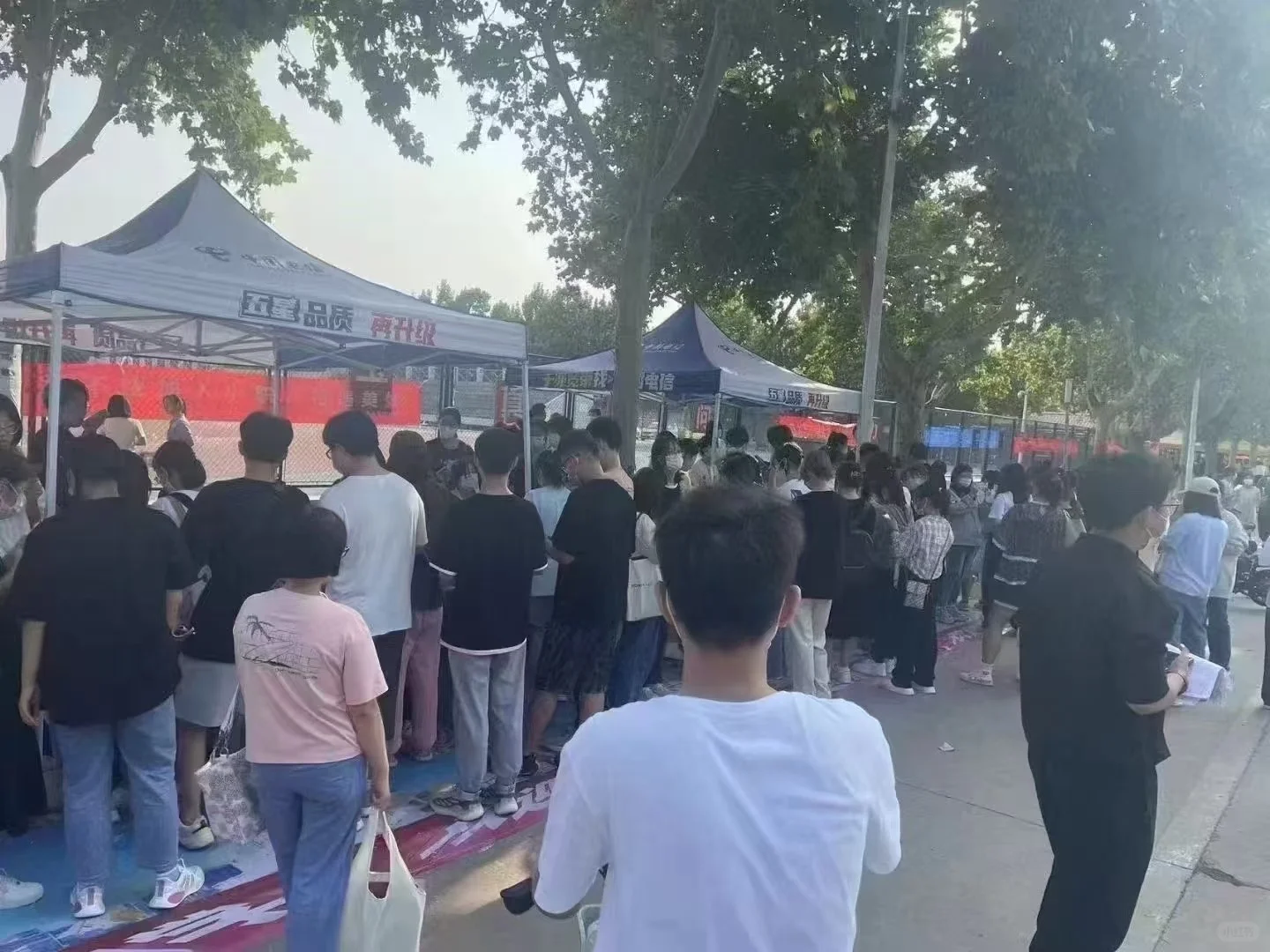 石家庄兼职！！快钱！