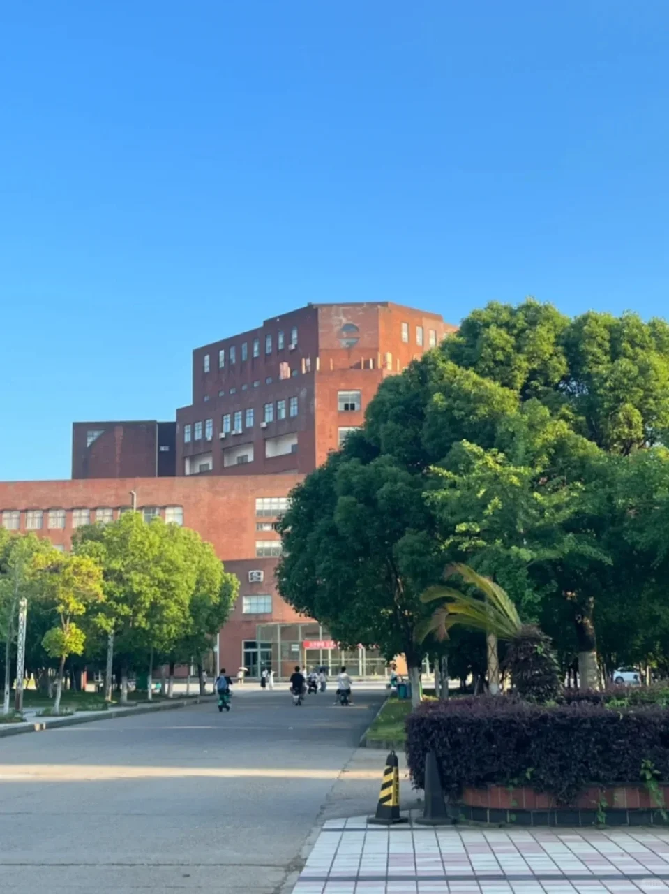 双非硕士没必要焦虑,高校招聘都很水