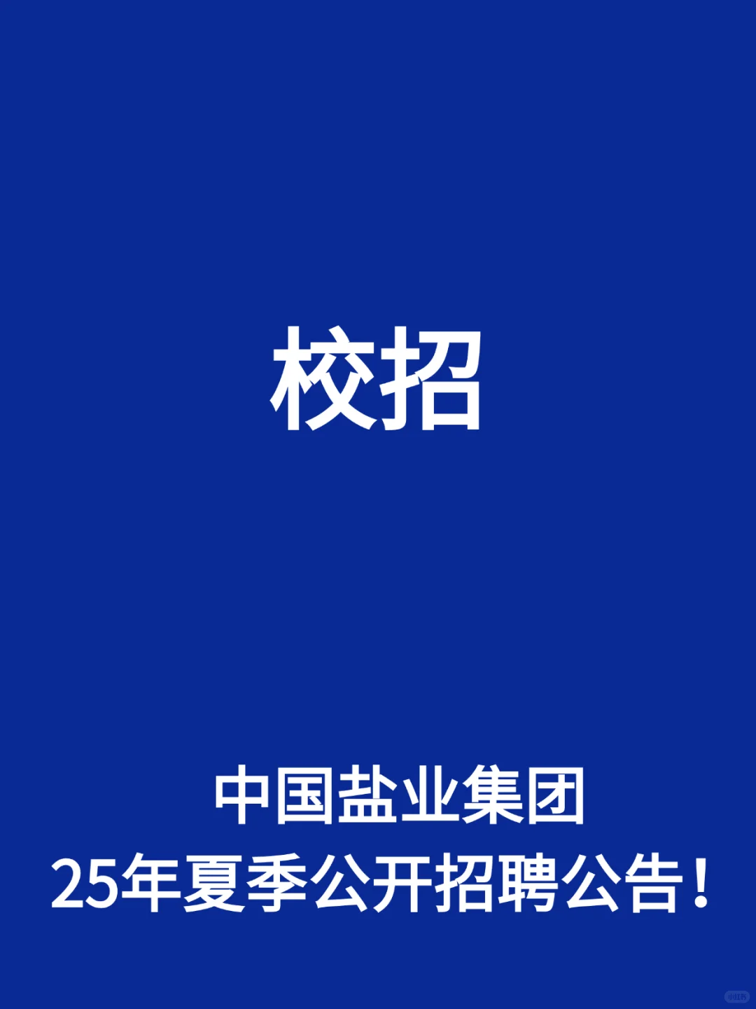 中国盐业集团2025年夏季公开招聘公告！