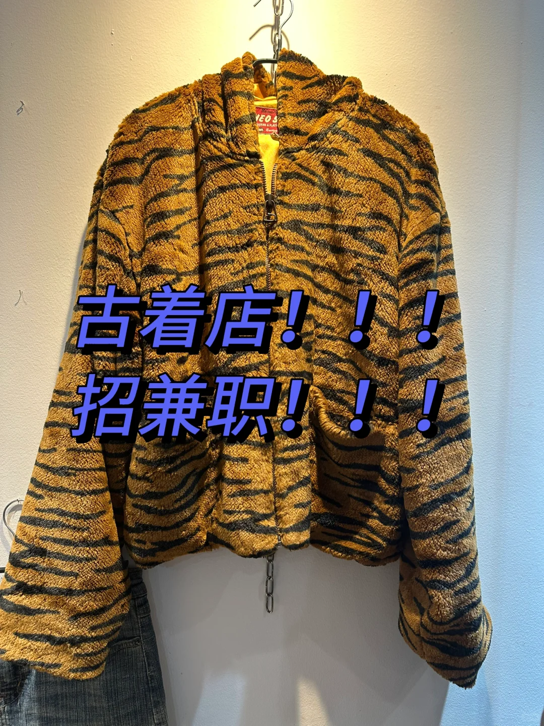 昆明翠湖古着店招兼职