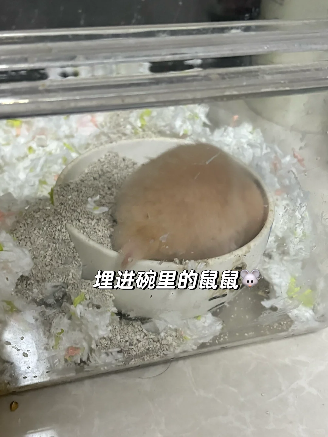 大学老师 |硕士进高校✨我的快速备考路径
