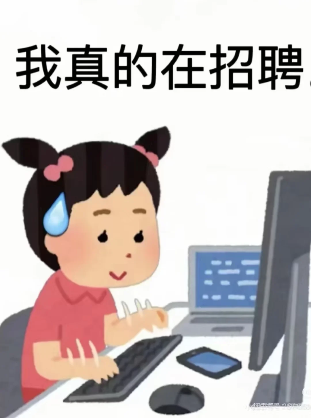 好的工作没人来，气死我，有福利送！?