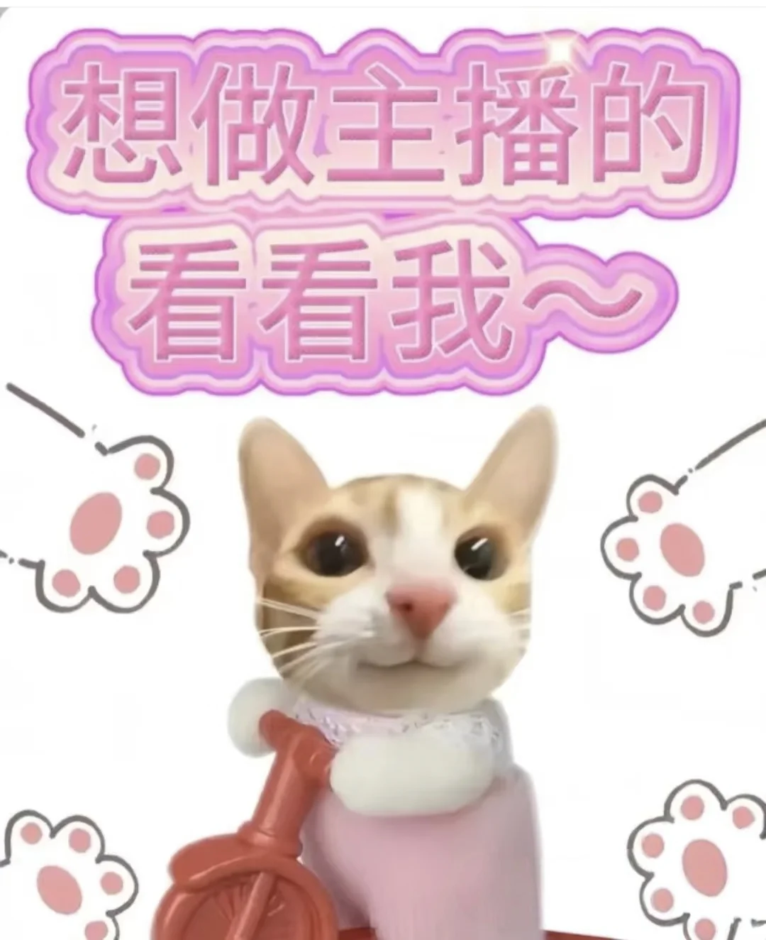 来做主播吧！