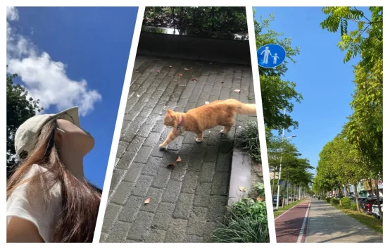 成为网易实习生后才想明白这些。。