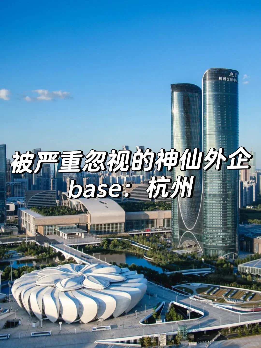 被严重忽视的杭州神仙外企
