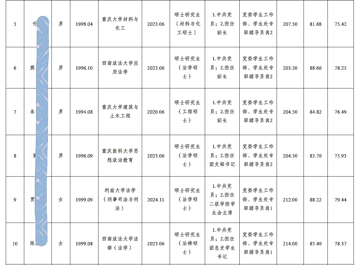 重庆理工大学25年公开招聘人员公示