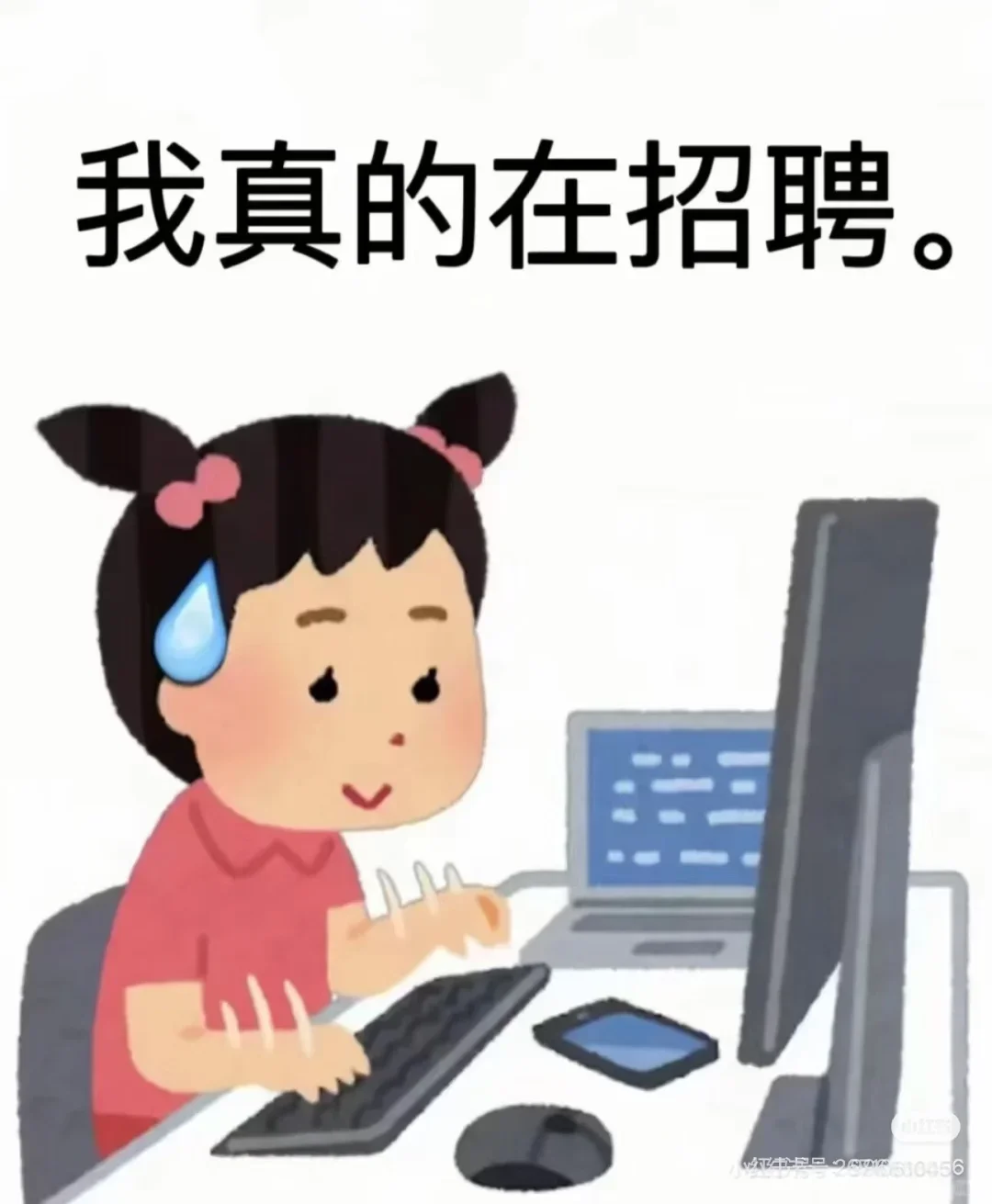 这样就能招到?!!