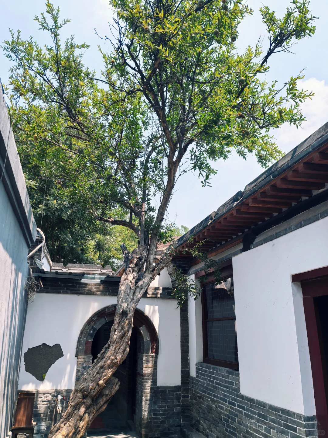 寻找有咖啡师经验的项目合伙人