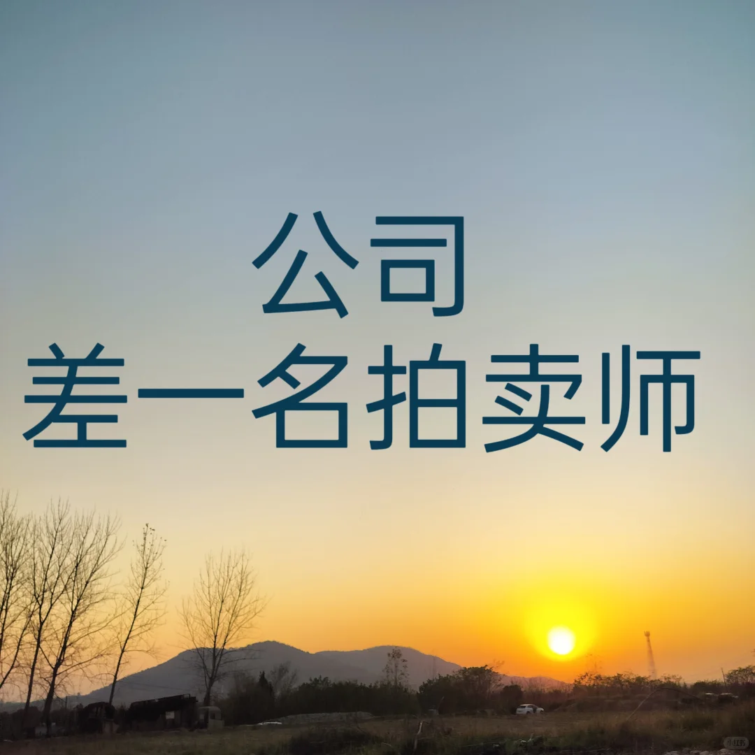 拍卖师看过了