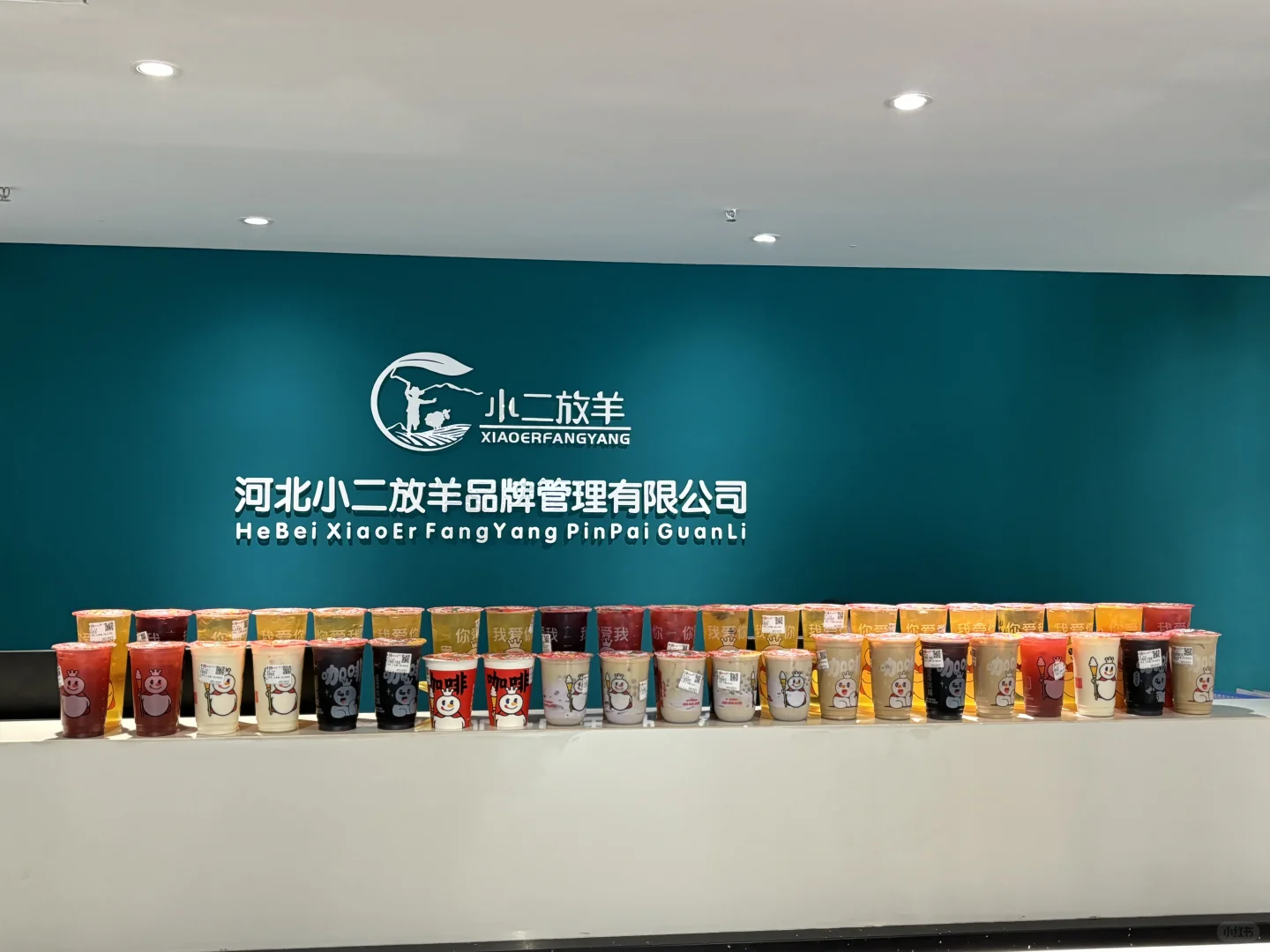 石家庄有找工作的吗
