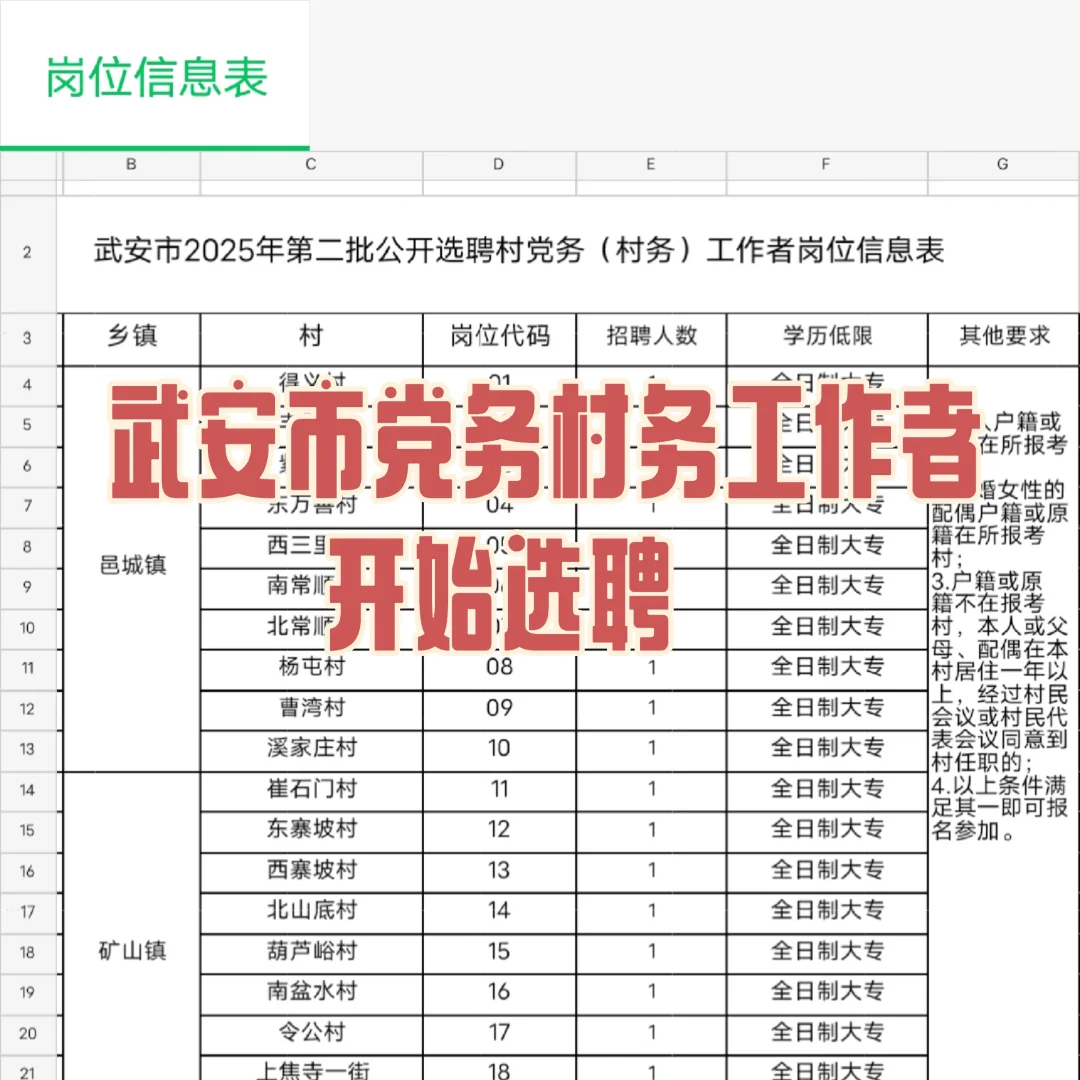 武安市第二批公开选聘党务村务工作者
