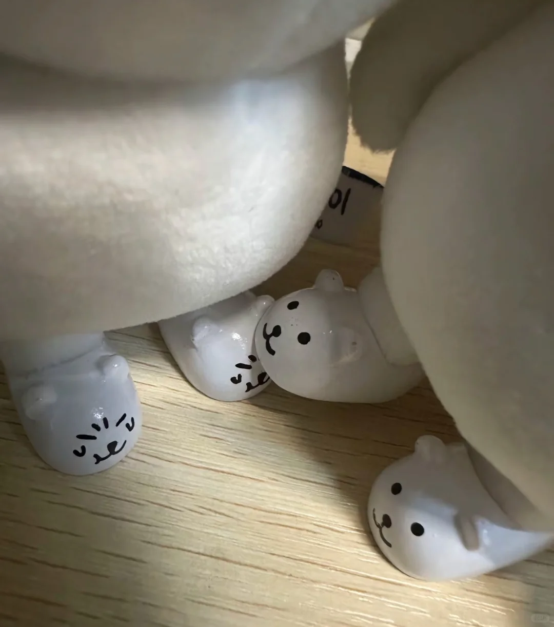 珠三角教师公告和信息哪里看?