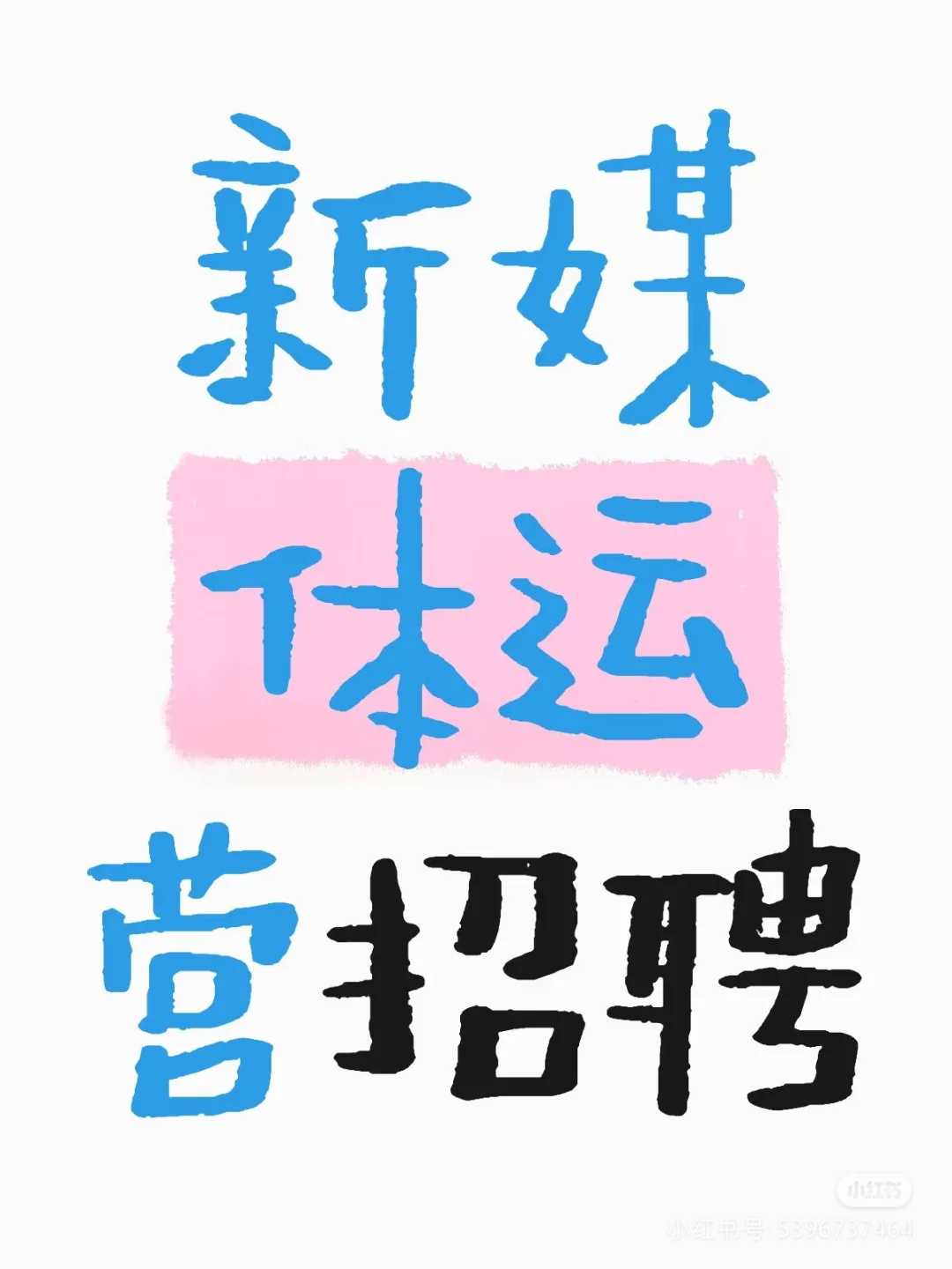 视频新媒体 坐标上海