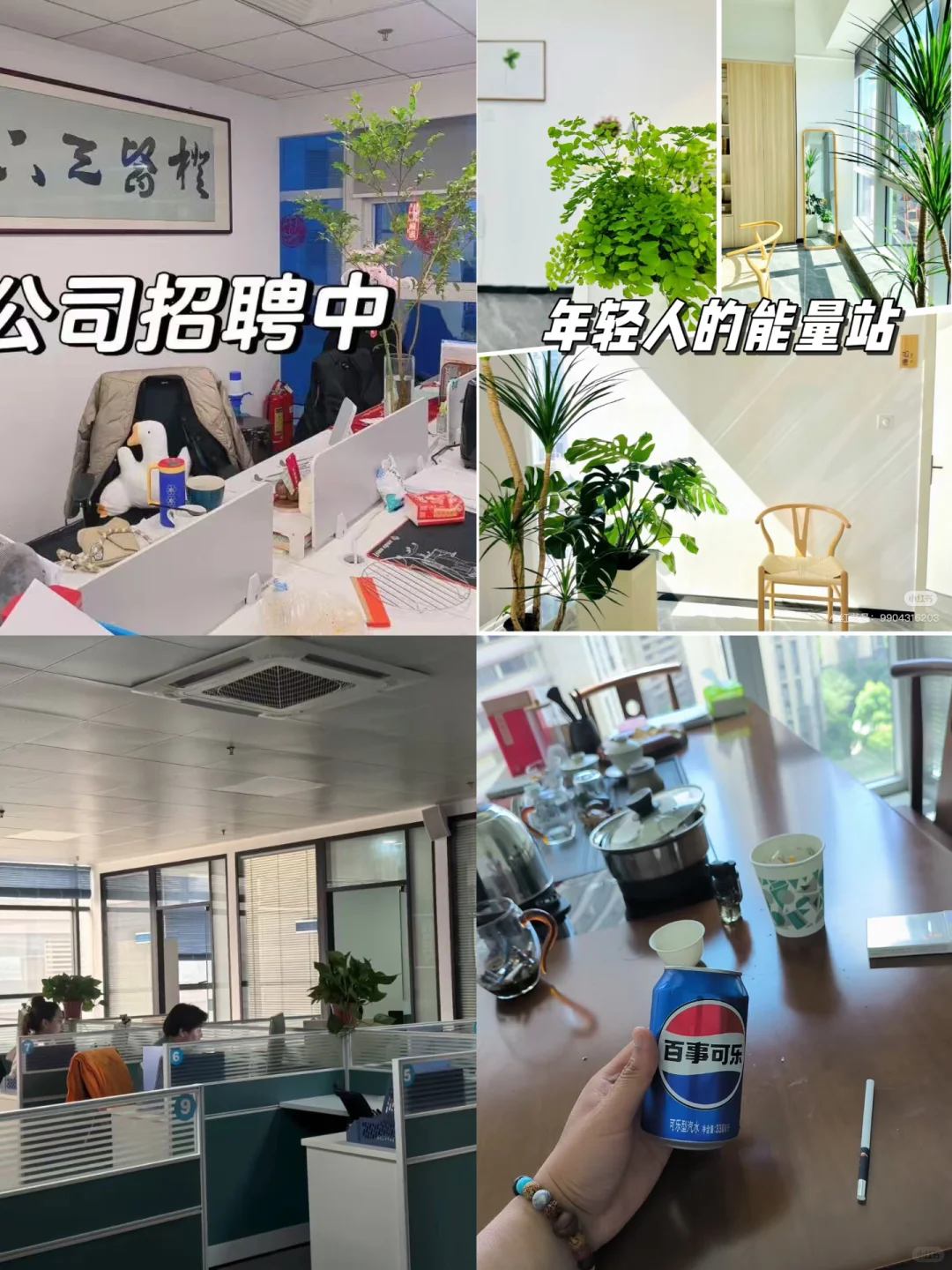 合肥找工作的宝子们看过来,急缺工种内推?️