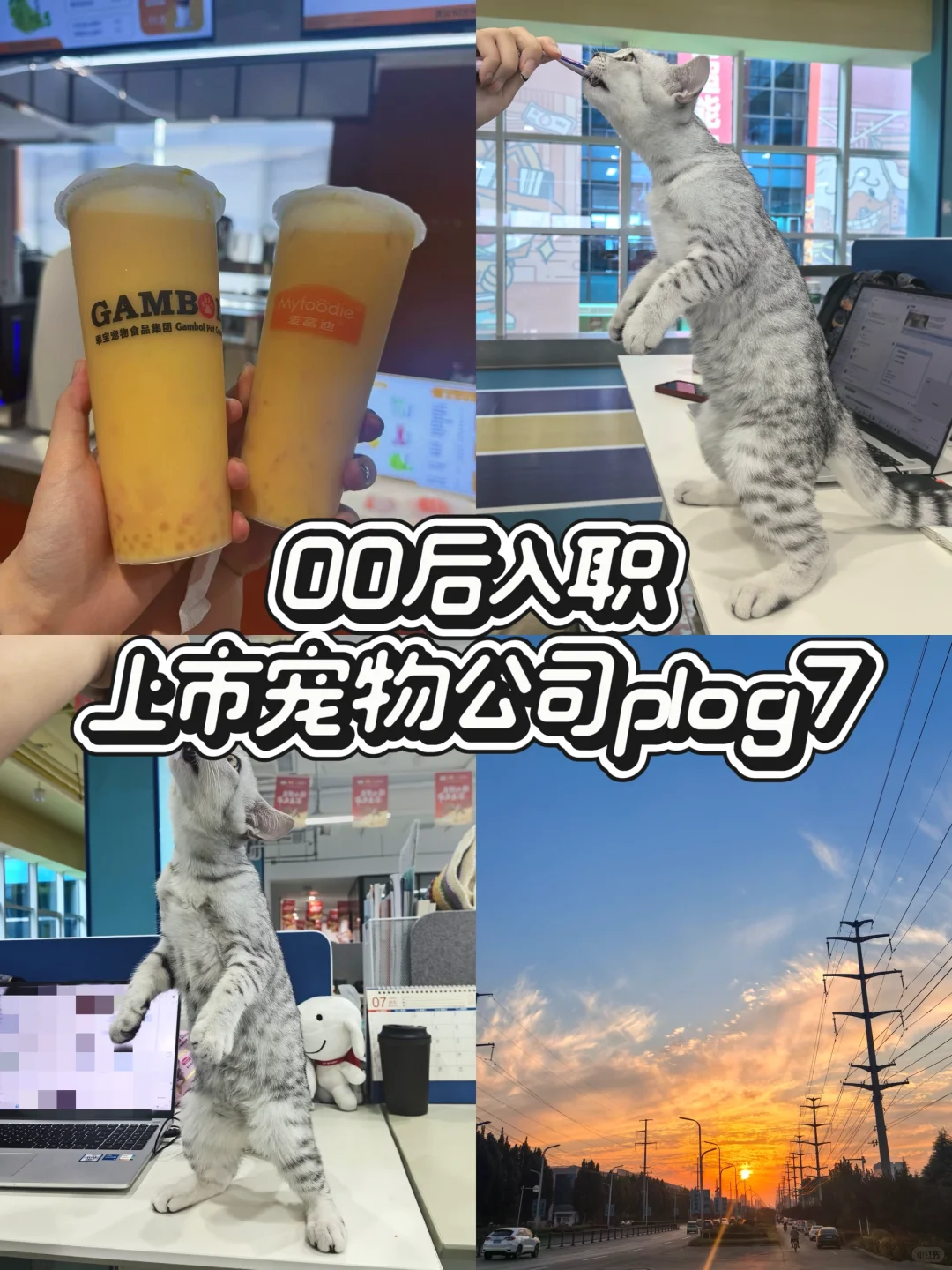 7小时工作制|00后入职大厂的一天