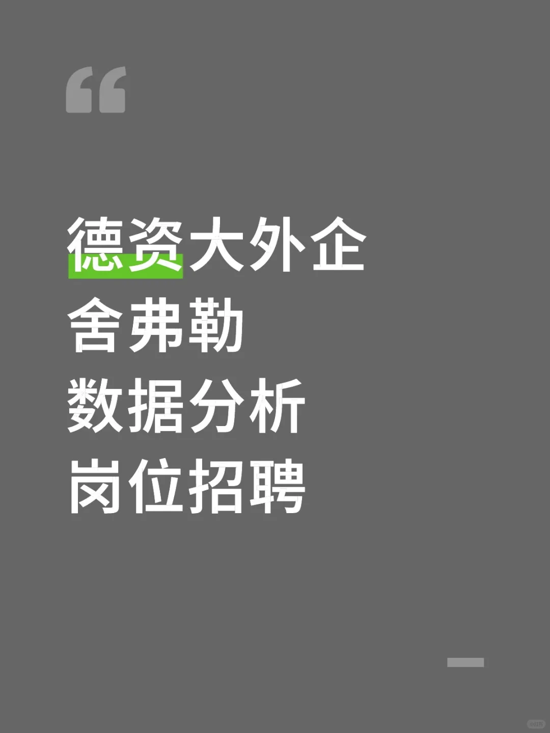 德资大外企舍弗勒数据分析岗位招聘！