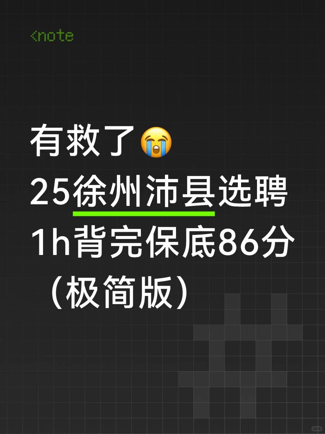 有救了?25徐州沛县选聘1h背完保底86分