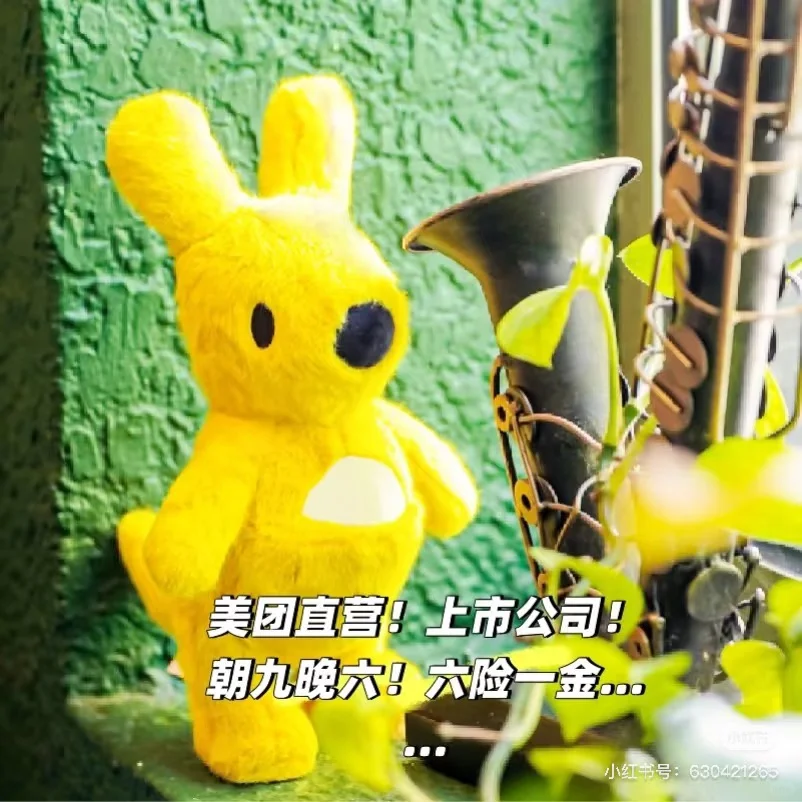 石家庄招聘!美团总部直营岗位!