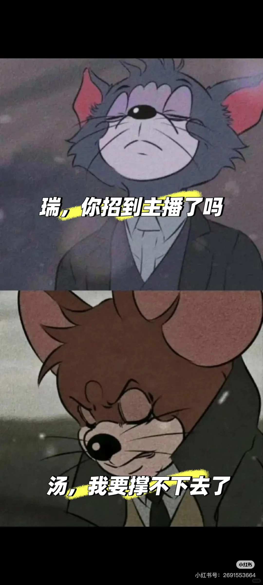 找主播！找主播！真的不找我聊聊嘛？