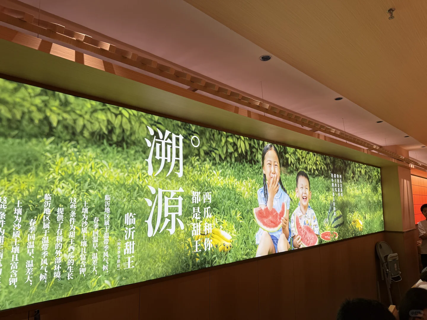 郑州，招聘兼职主播！