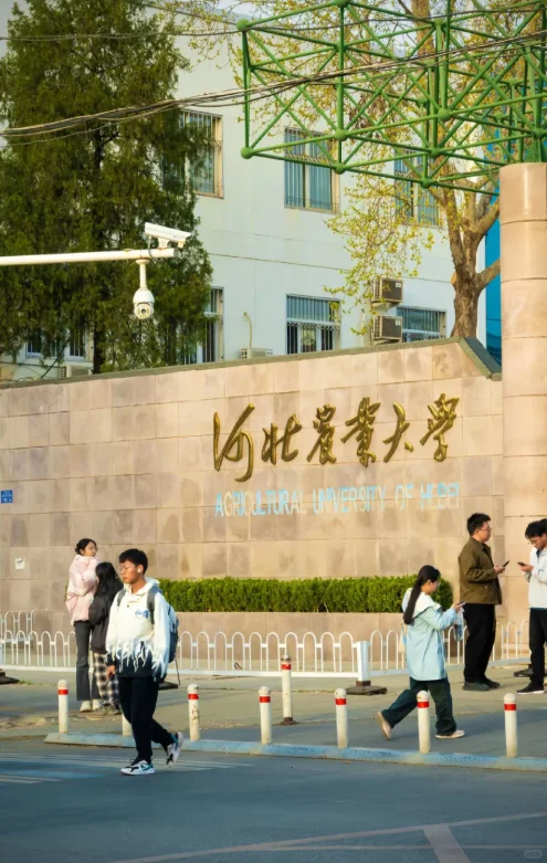 二荀少年进高校之河北篇