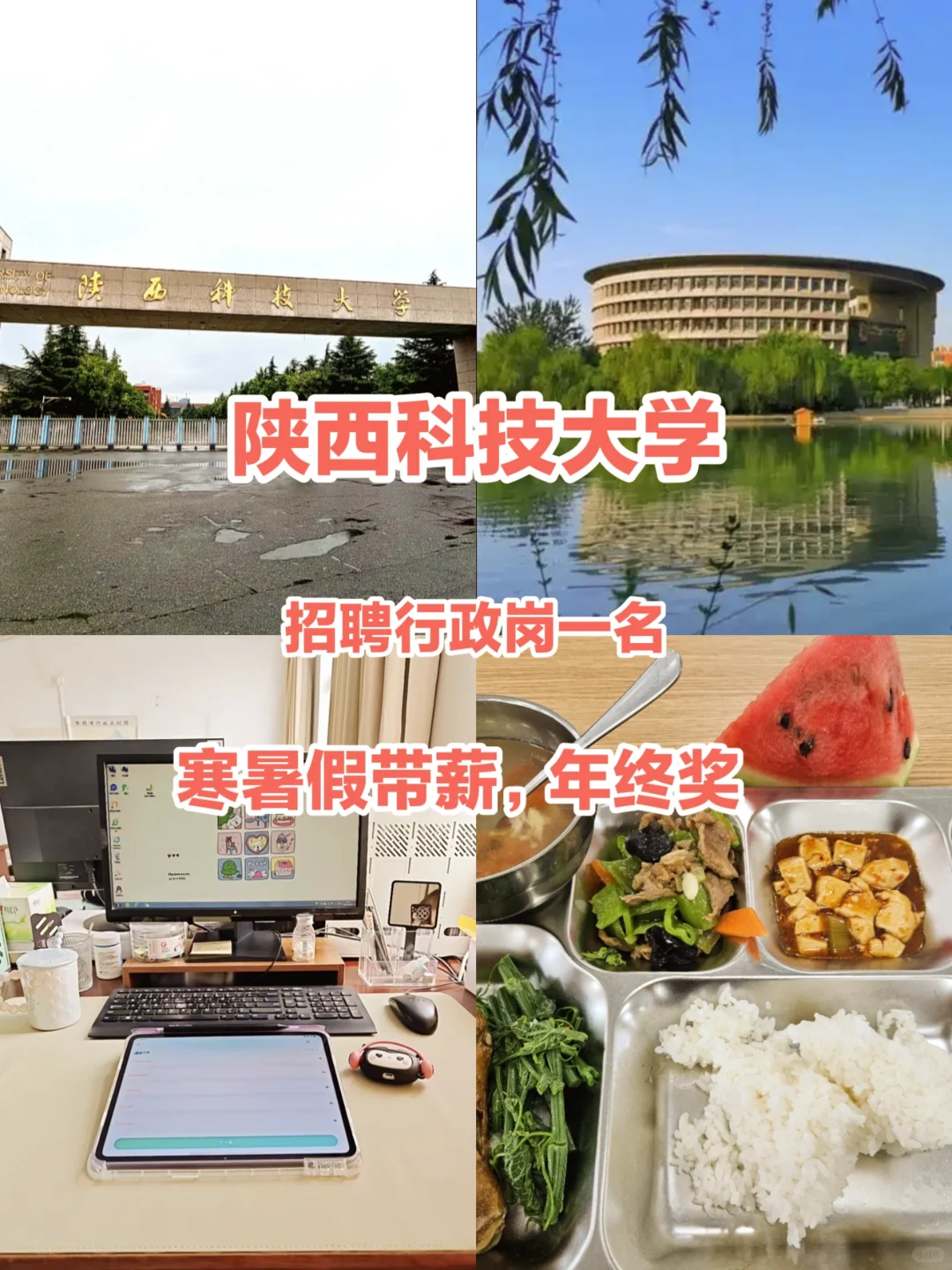 陕西科技大学，招行政岗一名，有想去的吗❓
