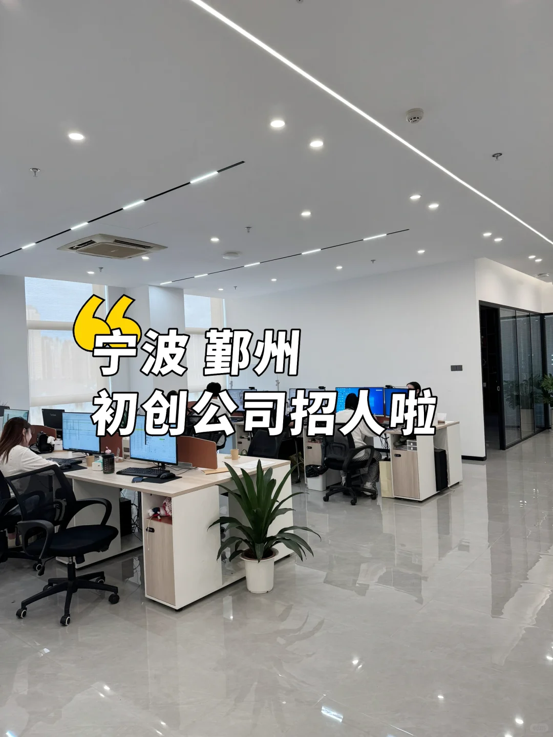 宁波初创公司！来了就是二把手！