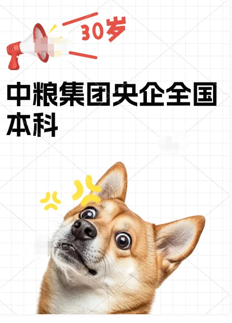 中粮集团招人啦!央企岗薪资 7k-12k?