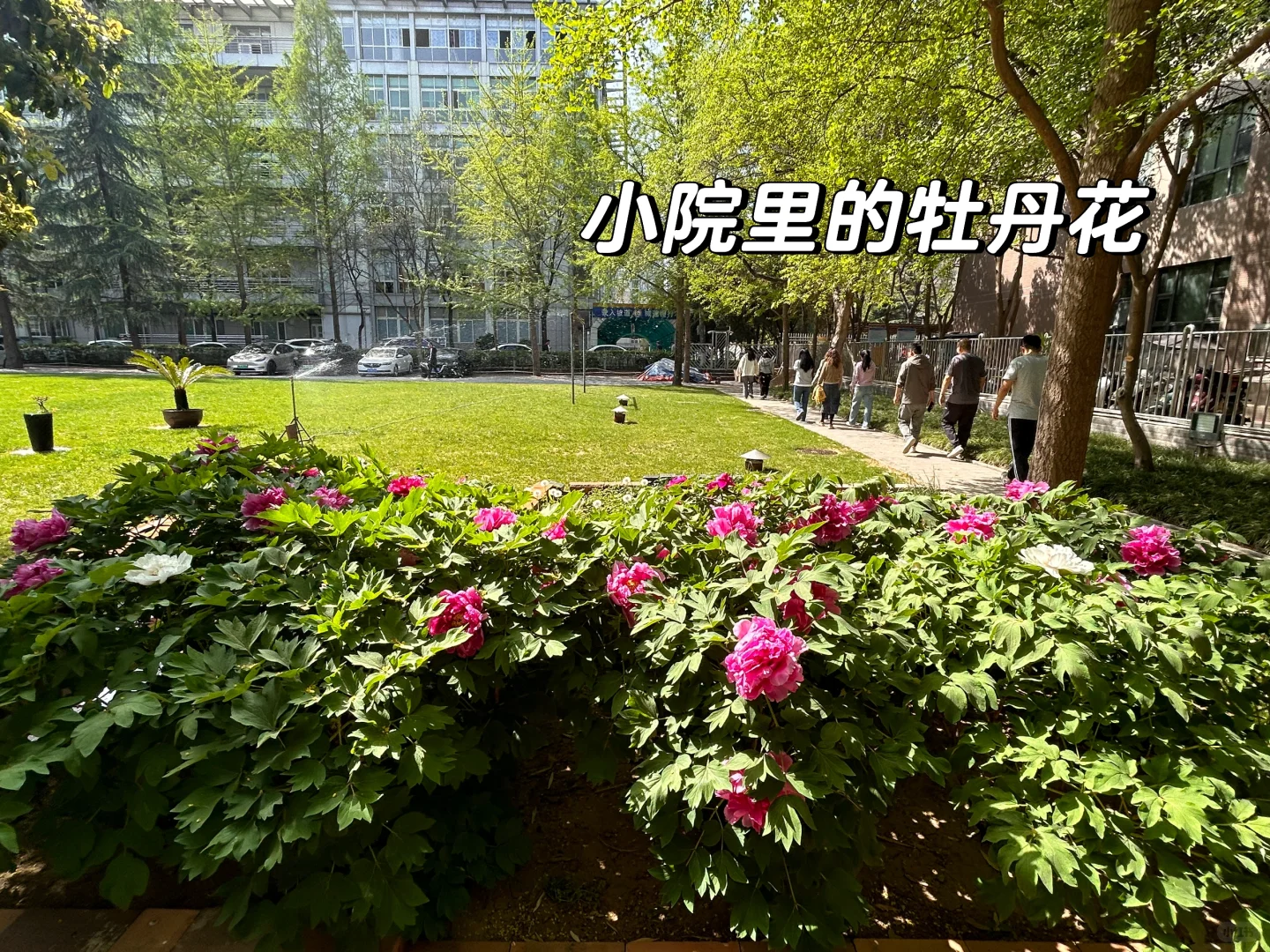 在西安遇见梦中情司