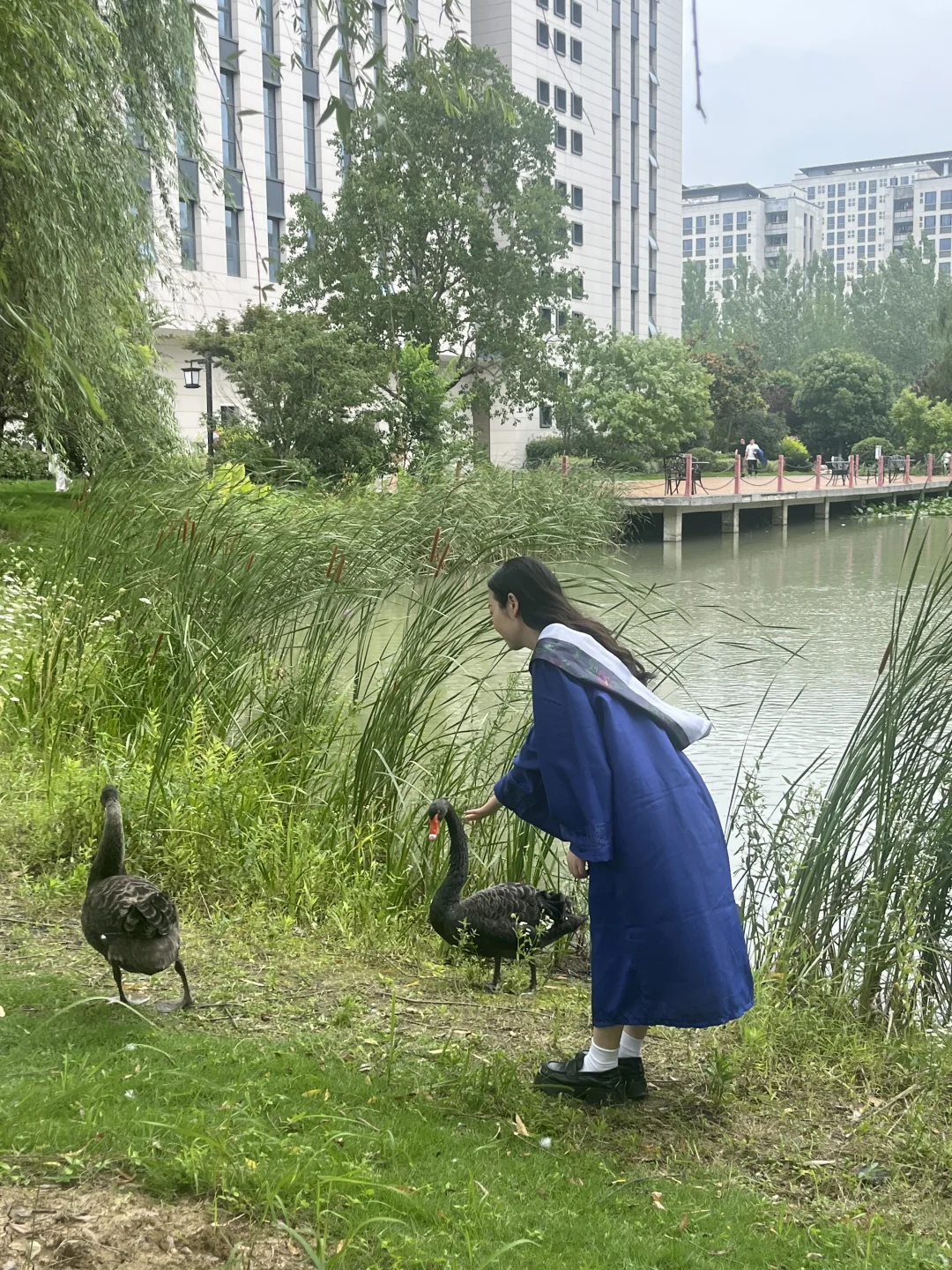 中医专硕，江浙沪巡考结束