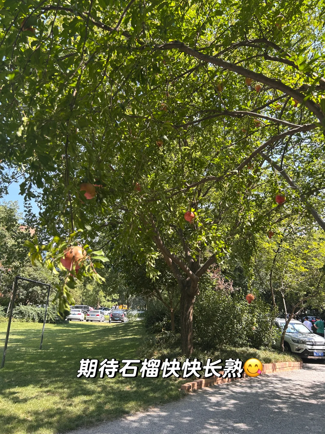 在西安遇见梦中情司