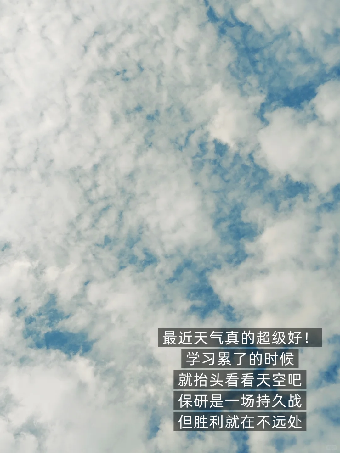 四非保研985|夏0营的暑假八月怎样弯道超车