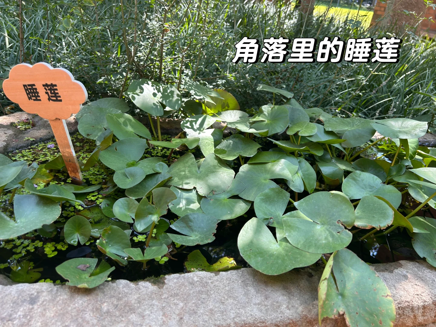 在西安遇见梦中情司