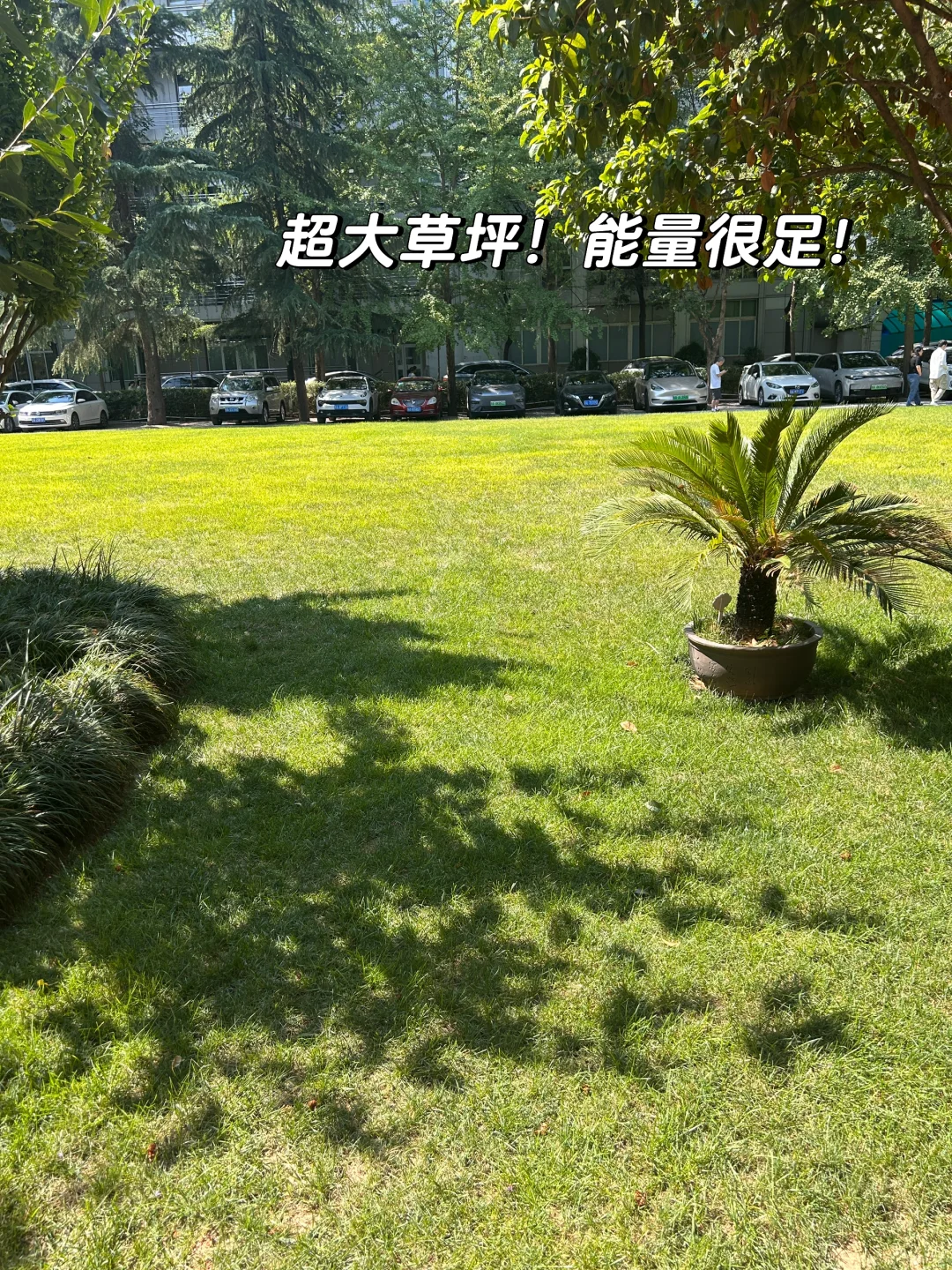 在西安遇见梦中情司